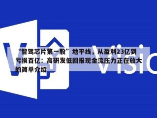 “智驾芯片第一股”地平线，从盈利23亿到亏损百亿：高研发低回报现金流压力正在放大的简单介绍