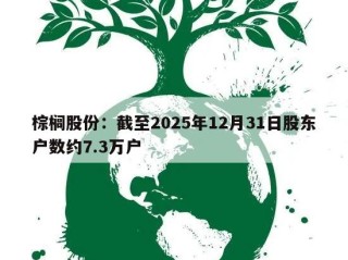 棕榈股份：截至2025年12月31日股东户数约7.3万户