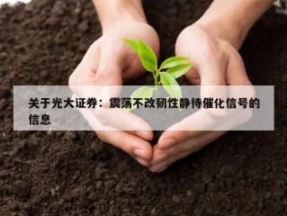 关于光大证券：震荡不改韧性静待催化信号的信息